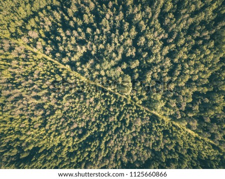 drone image. gravel road surrounded by pine forest from above. summer countryside in Latvia - vintage retro look