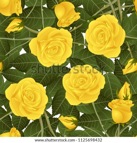 Yellow Rose and Green Leaves on White Background. Vector Illustration.