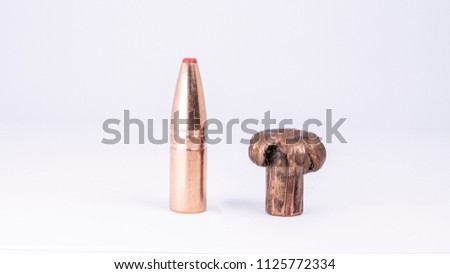 Shot & Expanded Bullet Tip 