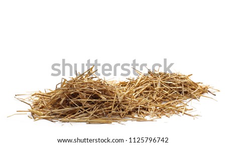 Straw pile isolated on white background and texture Royalty-Free Stock Photo #1125796742