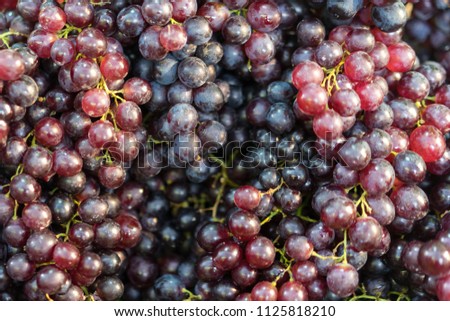Fresh grapes in market. Grapes can be eaten fresh as table grapes or they can be used for making wine, jam, juice, jelly, grape seed extract, raisins, vinegar, and grape seed oil.