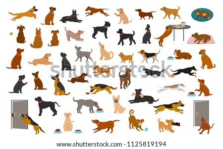 different dog breeds and mixed set, pets play running jumping eating sleeping, sit lay down and walk, steal food, bark, protect. isolated  cartoon vector illustration graphic