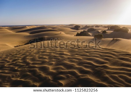 Maspalomas Dunes, Gran Canaria, Canary Islands, Spain, view of sunset dunes, wind is taking the sand over