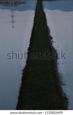 A narrow path between paddy fields