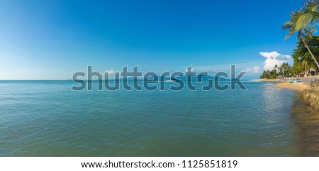 Daytime seascape, view of the beach, palm trees and water