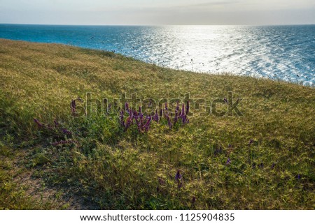 Black sea, Tarkhankut Peninsula. Crimea