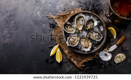 Open shucked fresh Oysters with lemon and Rose Wine in ice bucket on dark background copy space Royalty-Free Stock Photo #1125939725