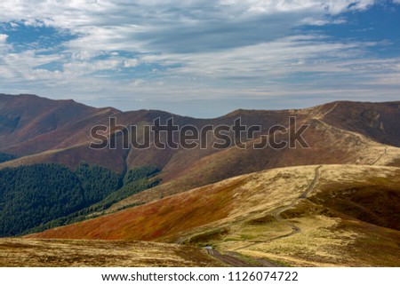 A dirt road through a mountain ridge covered with yellowed bushes and blueberries.