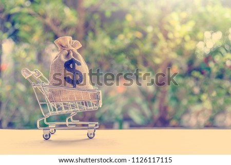 Money supply / stock of currency or liquid instruments concept : Cash in a dollar bag in a silver shopping basket or push trolley on a table, depicts the liquidity of money in the economy of a country Royalty-Free Stock Photo #1126117115