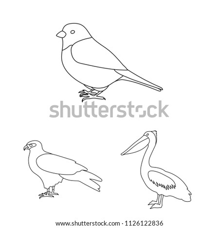 Types of birds outline icons in set collection for design. Home and wild bird bitmap,raster symbol stock web illustration.