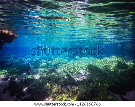 Practicing diving and snorkeling, mysterious lagoon, beautiful lagoon of transparent turquoise blue water, located in the city of Bonito, Mato Grosso do Sul, Brazil Royalty-Free Stock Photo #1126168766