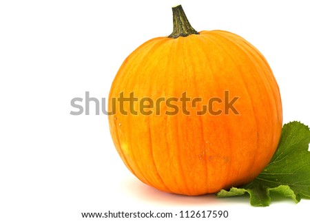 Fresh pumpkin with leaves isolated on white background. For Halloween, thanksgiving holiday, autumn theme. With copy space.