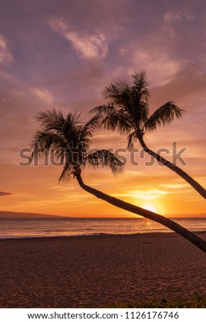 Beautiful Maui Sunset 