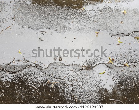 muddy puddle in the rain