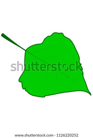 green leaf nature vector