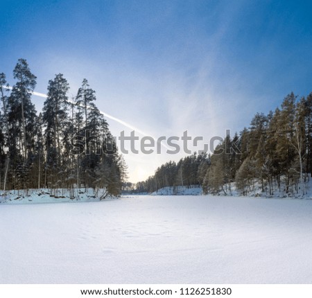 Winter landscape in the afternoon, a frozen lake and pine trees on the shore