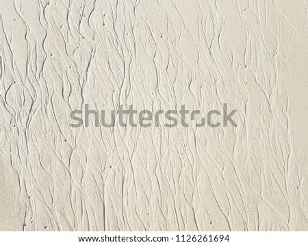 Beautiful pattern on white sand