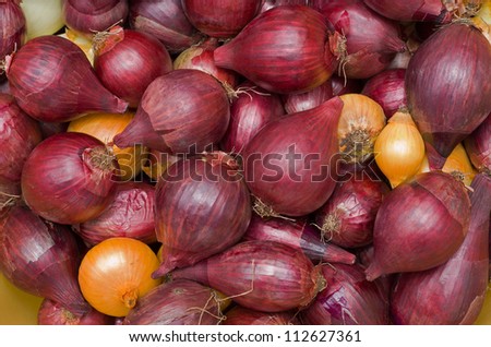 A close up of the drying onion.