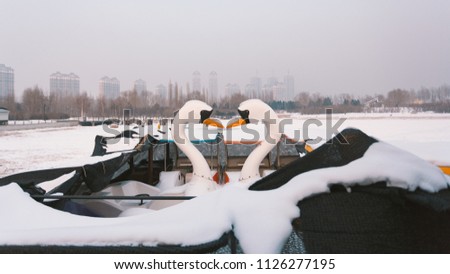 Harbin Park image