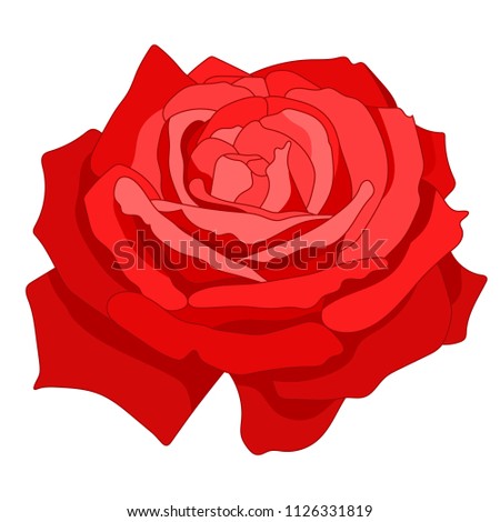 Red rose, isolated on white background. Floral clipart design. Hand drawn vector illustration. 