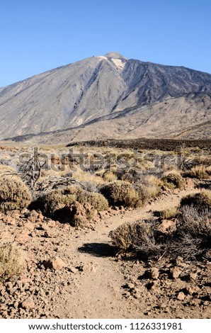 Teide Tenerife Photo Picture of the Beautiful Volcan Basaltic Mountain