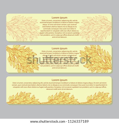 A set of horizontal rectangular labels for marking of bathing goods. Advertizing of products for a sauna, bathing services. The place for your text. Window dressing in shop for a sauna. Vector