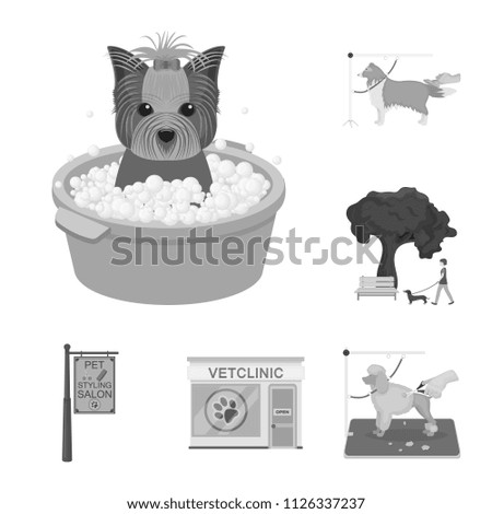 Pet monochrome icons in set collection for design. Care and education vector symbol stock web illustration.