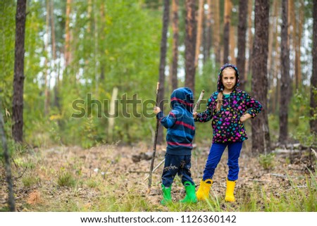 Children walk in the forest with canes. Mushroom picking in the forest.
