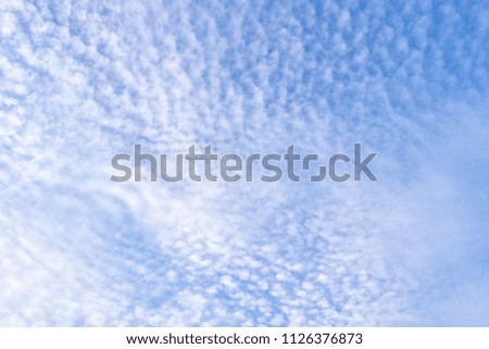 cirrocumulus cloud background, blue sky