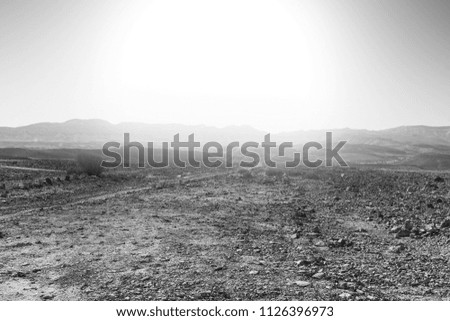 Rocky hills of the Negev Desert in Israel at sunrise. Breathtaking landscape of the desert rock formations in the Southern Israel Desert. Black and white picture