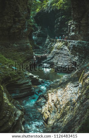 waterfall in nature 