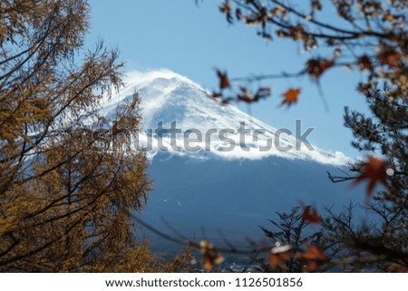 Mount Fuji with red leaves in the autumn on daytime in Fujiyoshida, JAPAN.