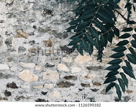Brick stone wall