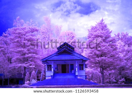 Church of Christ in purple garden from near infrared style. Paradise concept,Picture process from imagination.                  