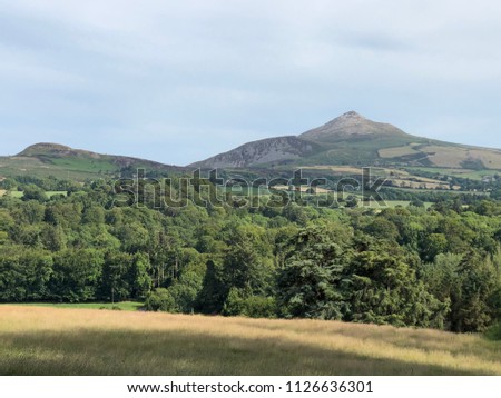 The Sugar Loaf Mountains are located in Wicklow County, Ireland. In the foreground are trees, farmland, and countryside. This picture was taken in Enniskerry, Ireland.