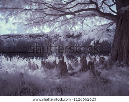  landscape under sky with clouds - the art of our world in the infrared spectrum