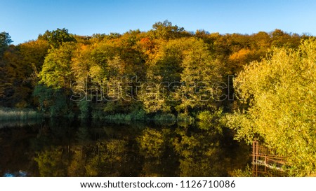 Golden autumn background, aerial view of forest with yellow trees and beautiful lake landscape from above, Kiev, Goloseevo forest, Ukraine