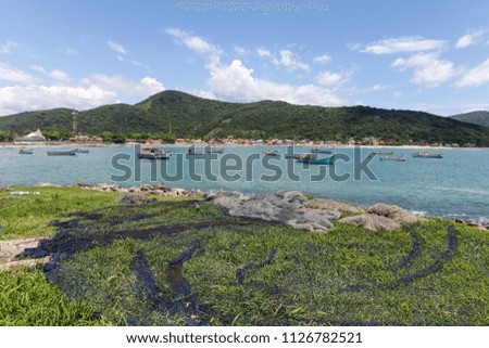 Florianopolis, Santa Catarina, Brazil. Beautiful view of beach landscape with fishing nets drying on the grass and colorful fishing boats and hills with blue sky in the background on sunny summer day.