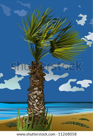 Palm in the Wind