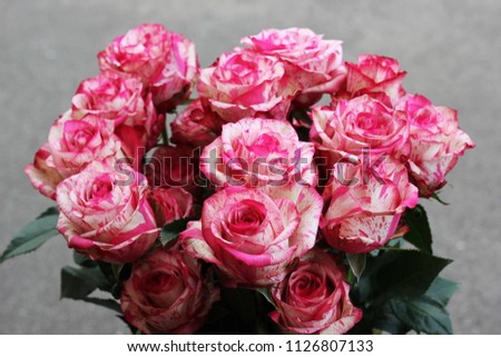 roses in speckles