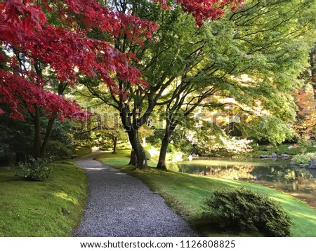 Changing color at Japanese garden in autumn season.