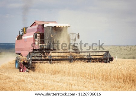 Combine mows wheat field, harvest period, agricultural land
