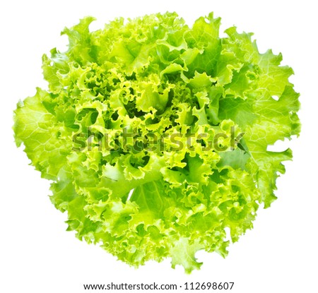 green salad isolated on a white background Royalty-Free Stock Photo #112698607