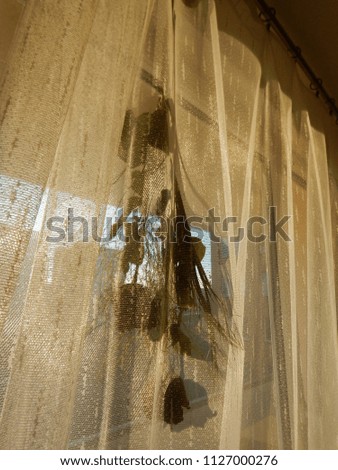 fragile dried roses hanging on a window curtain