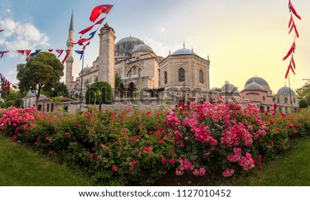 Sehzade Camii or the Prince Mosque on sunset with flowers, Istanbul, Turkey