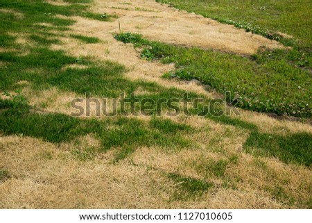 battered artificial grass