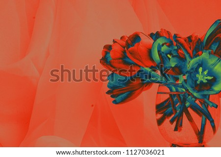 Using a color gradient photo editing filter gives a bouquet of tulips a unique appearance. The image is purposefully off-centered in order to accommodate various graphic and web design uses.