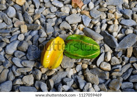 Yellow and green starfruit (Averrhoa Carambola) 