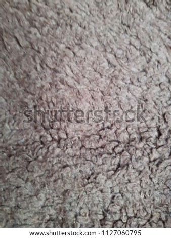 natural fur texture