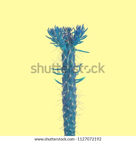 Blue Cactus on yellow background. Creative design. Minimal fashion art gallery.